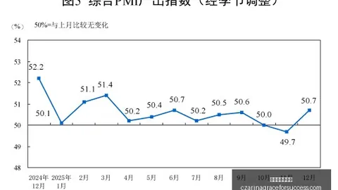 中国女篮巅峰对决：女篮世界杯八强赛，对抗法国队终极指南